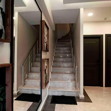 Appartement Renovated With Cozy Bed, Next To Hagia Sofia Istanboel